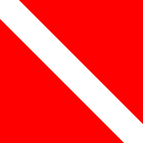 International Diver Down Flag